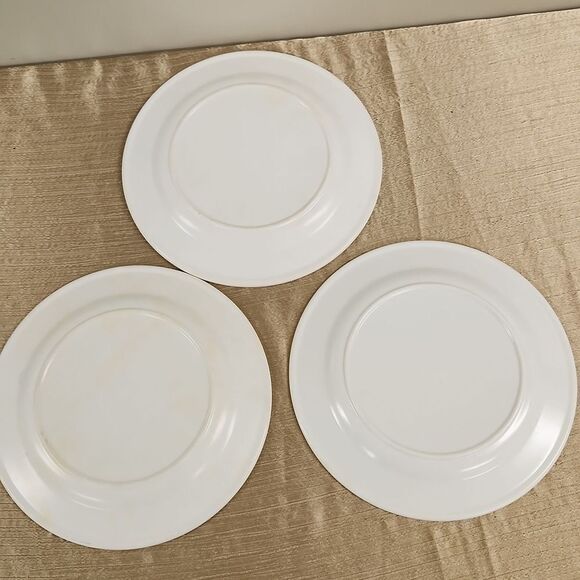 Trisa Melamine Hot Summer Plate Set of 3 10" - Picture 10 of 10